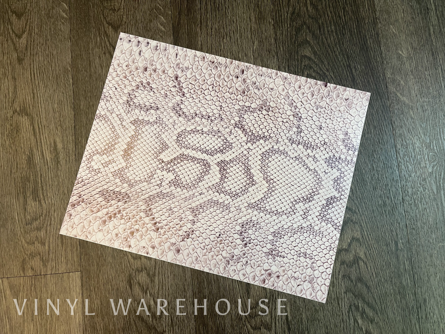 Slither - Printed HTV