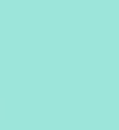 Siser EasyWeed HTV - Exclusive Mint