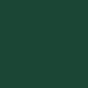 Oracal 651 - 060 Dark Green