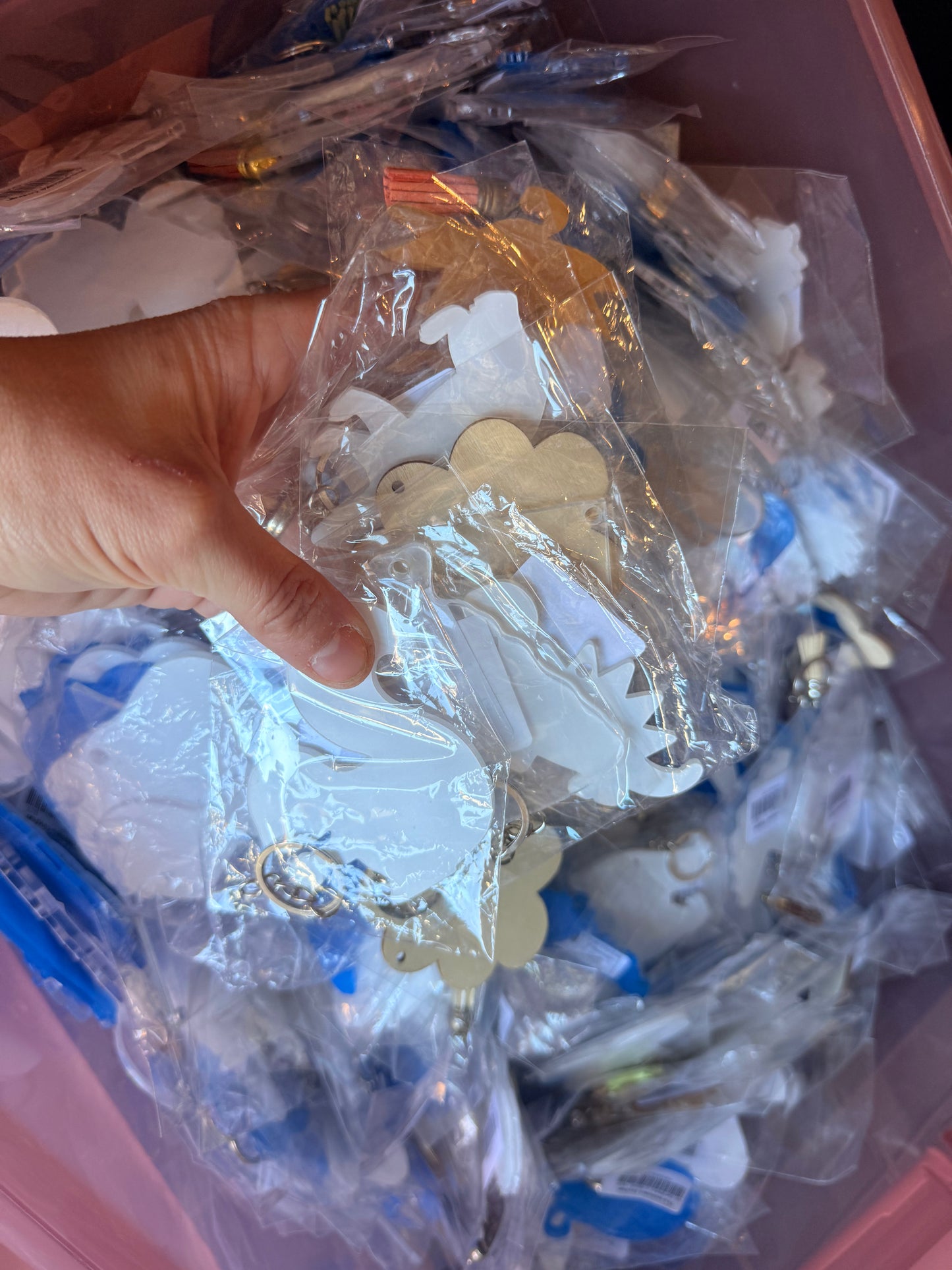 Grab Bag of Clear Acrylic and Wood Keychains