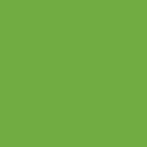 Oracal 631 Sheet - Lime-Tree Green
